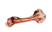 Lamb Femur